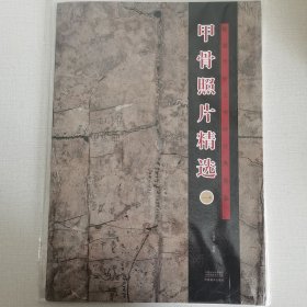 甲骨照片精选(1)/殷墟甲骨文书体分类萃编