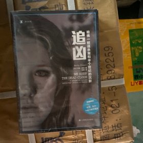 追凶