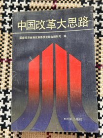 中国改革大思路 品相自鉴