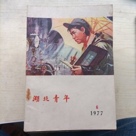 湖北青年1977年第6期(13521)