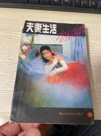 夫妻生活咨询手册