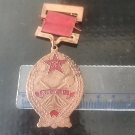 前苏联卫国战争纪念章，铁锨斧头五星，两边麦穗。