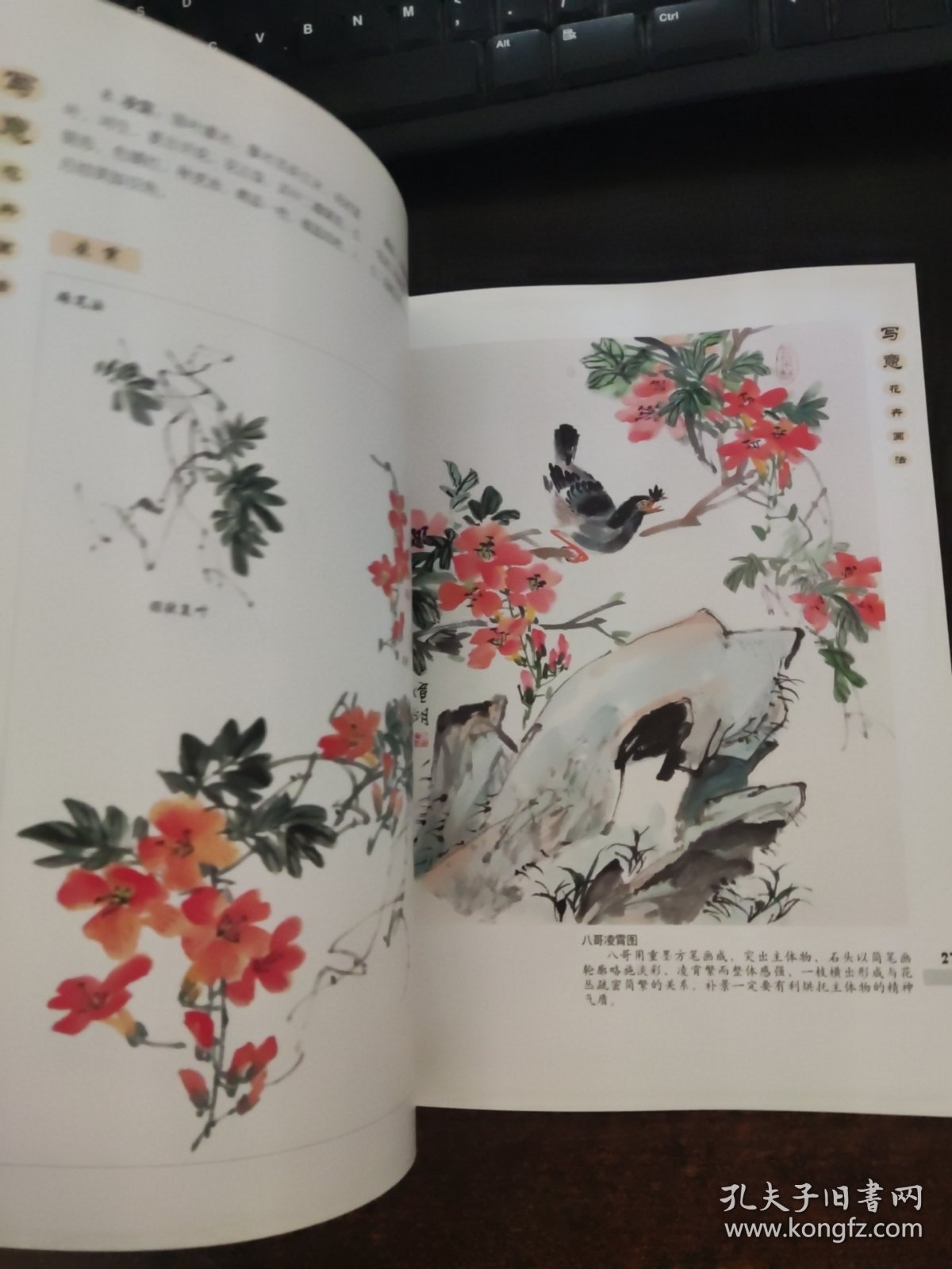 中国画基础画法丛书：写意花卉画法