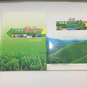 广西林业投资概览