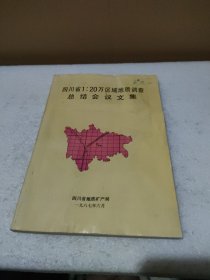 四川省1：20万区域地质调查总结会议文集【品如图】