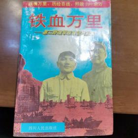 铁血万里——第二野战军纵横征战纪实