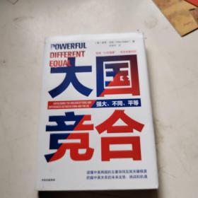 大国竞合：把握中美关系的未来走势、挑战和机遇