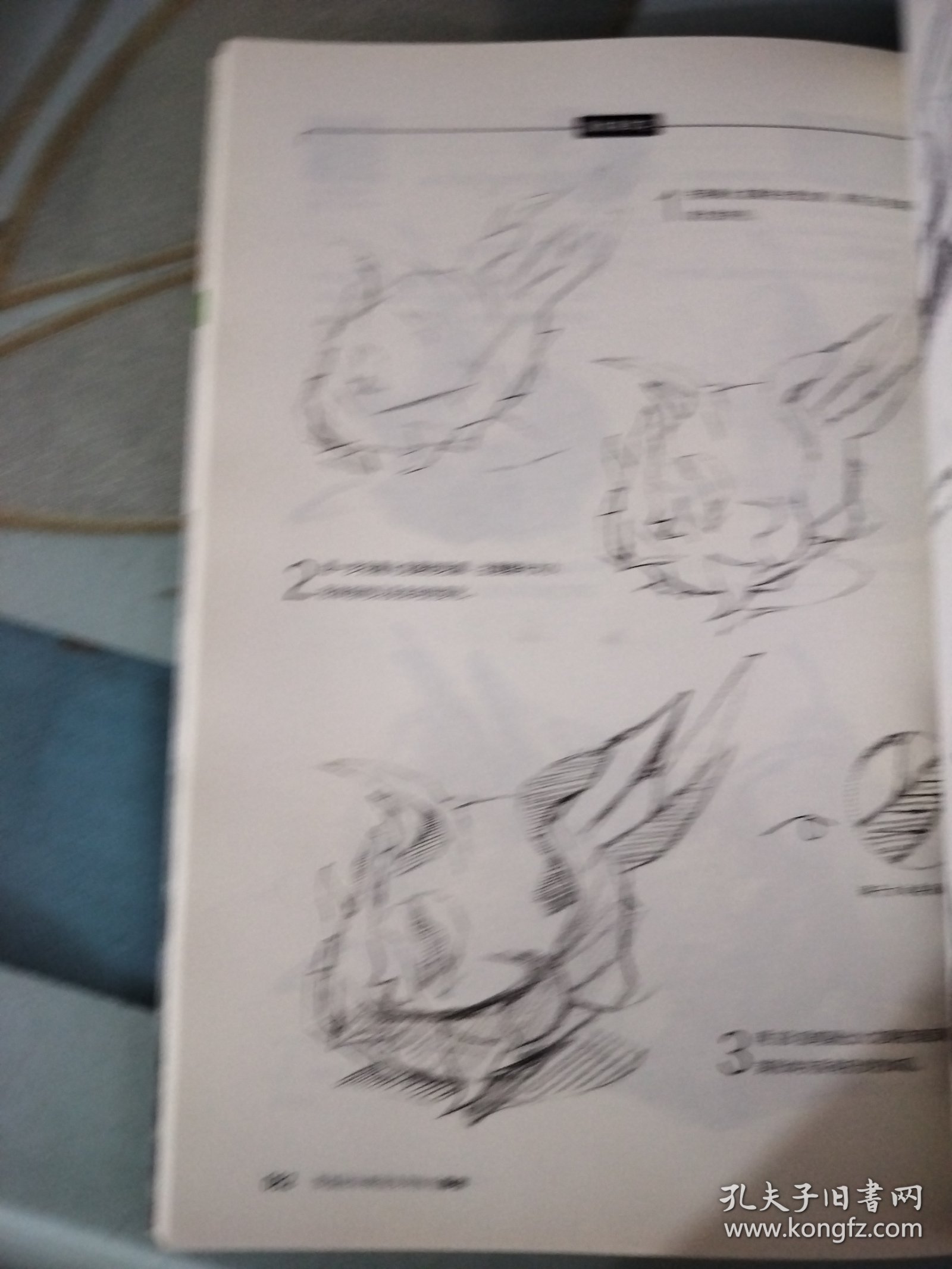 零基础学素描实用教程：静物