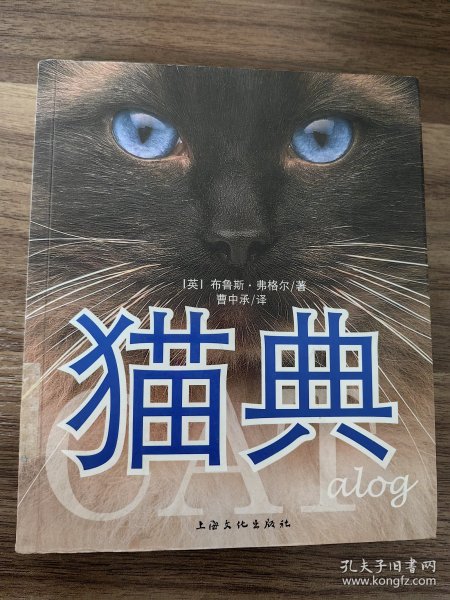 猫典