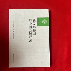 新发展格局与中国县域经济（百家廊文丛）