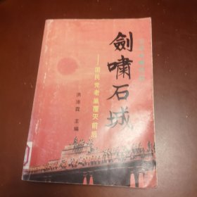 剑啸石城／国民党老巢覆灭前后／公安长篇纪实（馆藏图书）