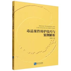 毒品案件辩护技巧与案例解析