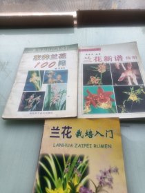 兰花新谱·续册，家养兰花100问，兰花栽培入门，三本合售