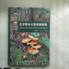 北京野生大型真菌图册 全新未开封.