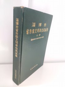 淄博市省市级文明单位风采录（上卷）