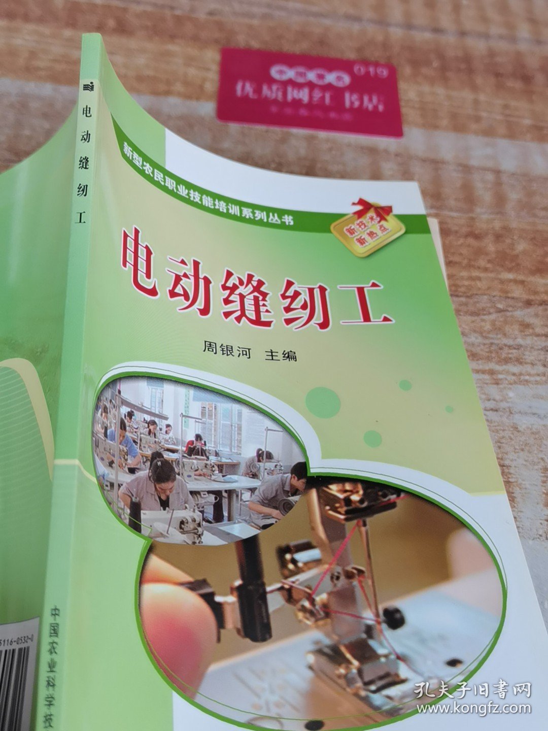 新型农民职业技能培训系列丛书：电动缝纫工