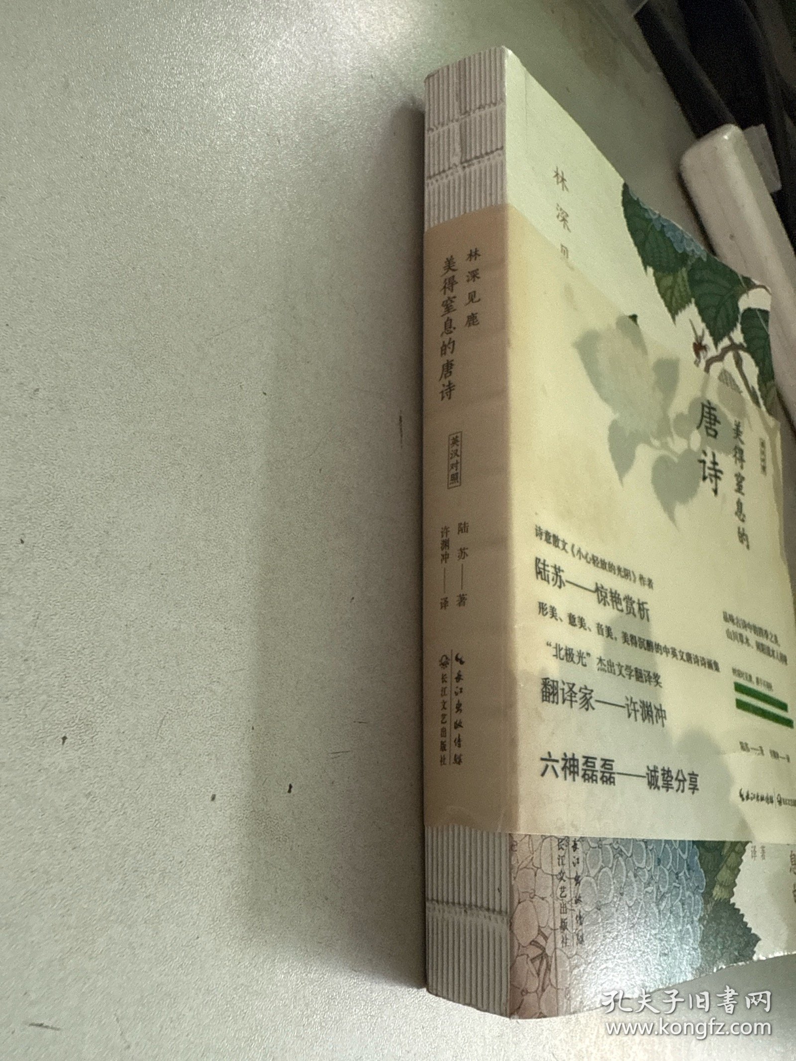 林深见鹿：美得窒息的唐诗