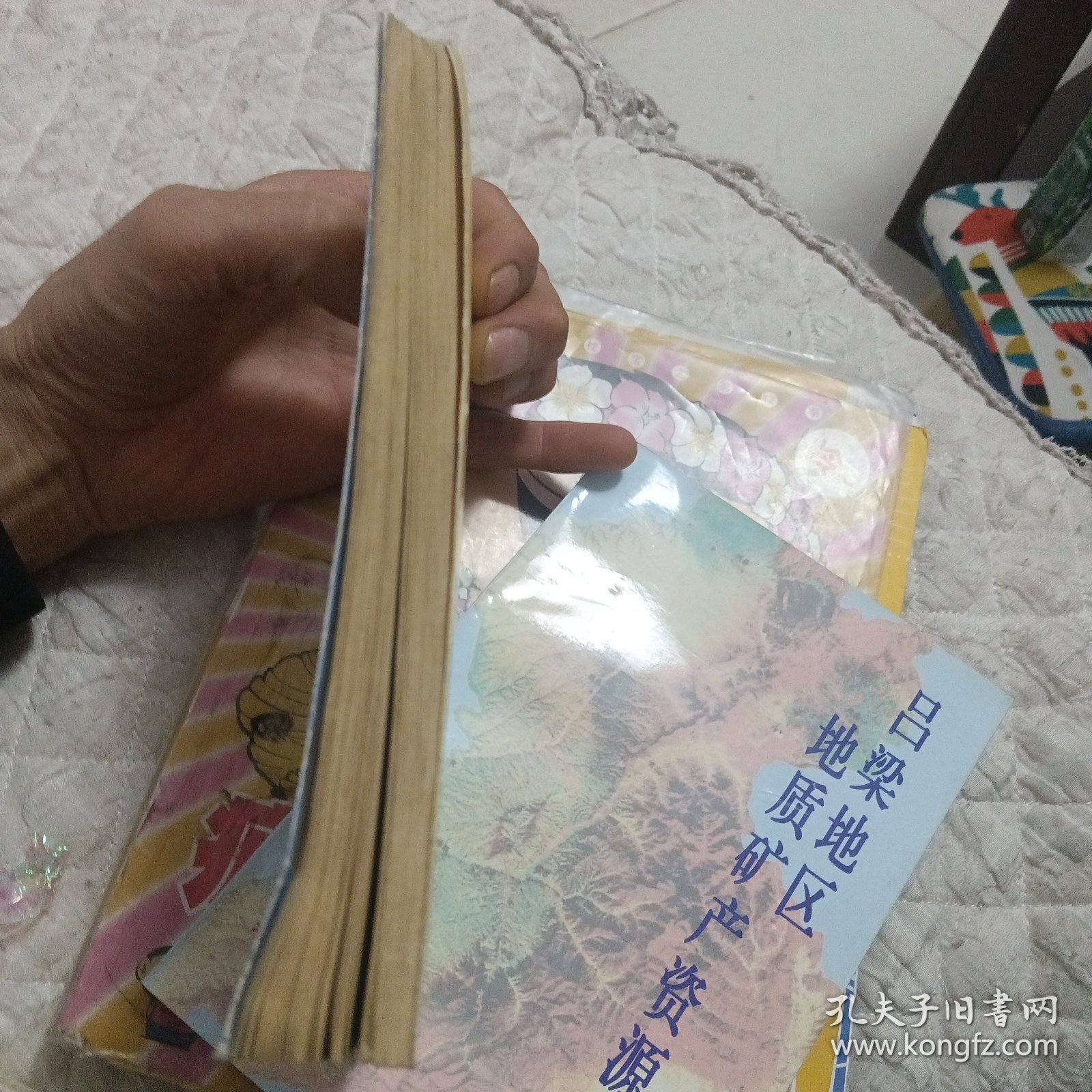 山西大学校庆90周年中文系系友论文集