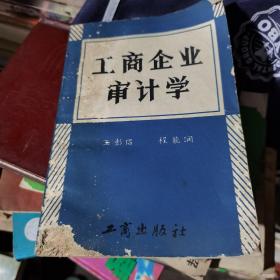 工商企业审计学