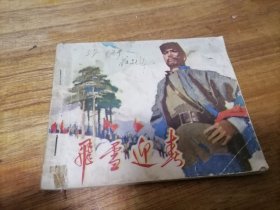 飞雪迎春，74年