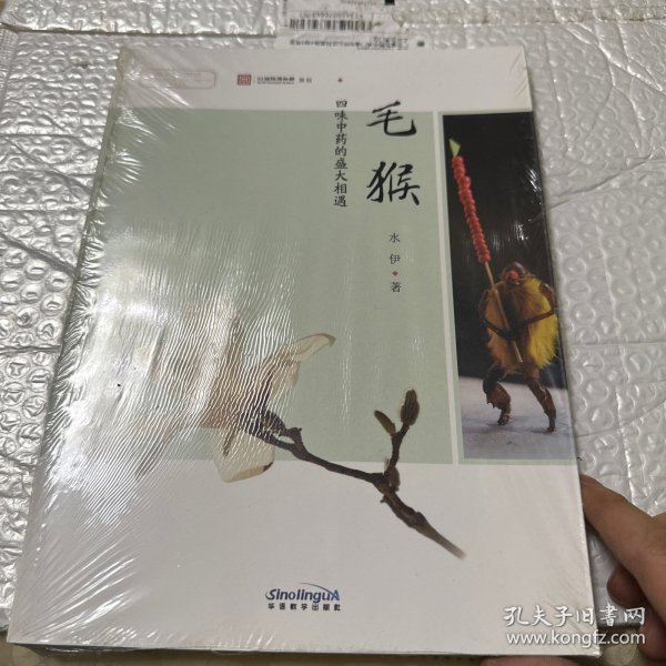 指尖上的非遗系列丛书·毛猴：四味中药的盛大相遇