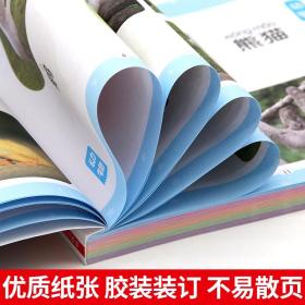 认物大全（认标志认水果动物形状颜色绘本儿童18大种类 约500个丰富图案）