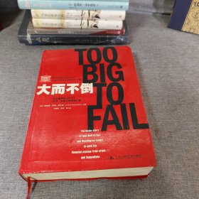 大而不倒：2010年全球政要和首席执行官争相阅读的金融危机启示录