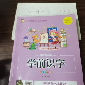 学前识字（彩图注音版）/智慧童书坊