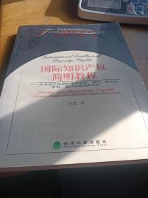 国际知识产权简明教程：在全球范围保护您的品牌、商标、著作权、专利、设计以及相关权