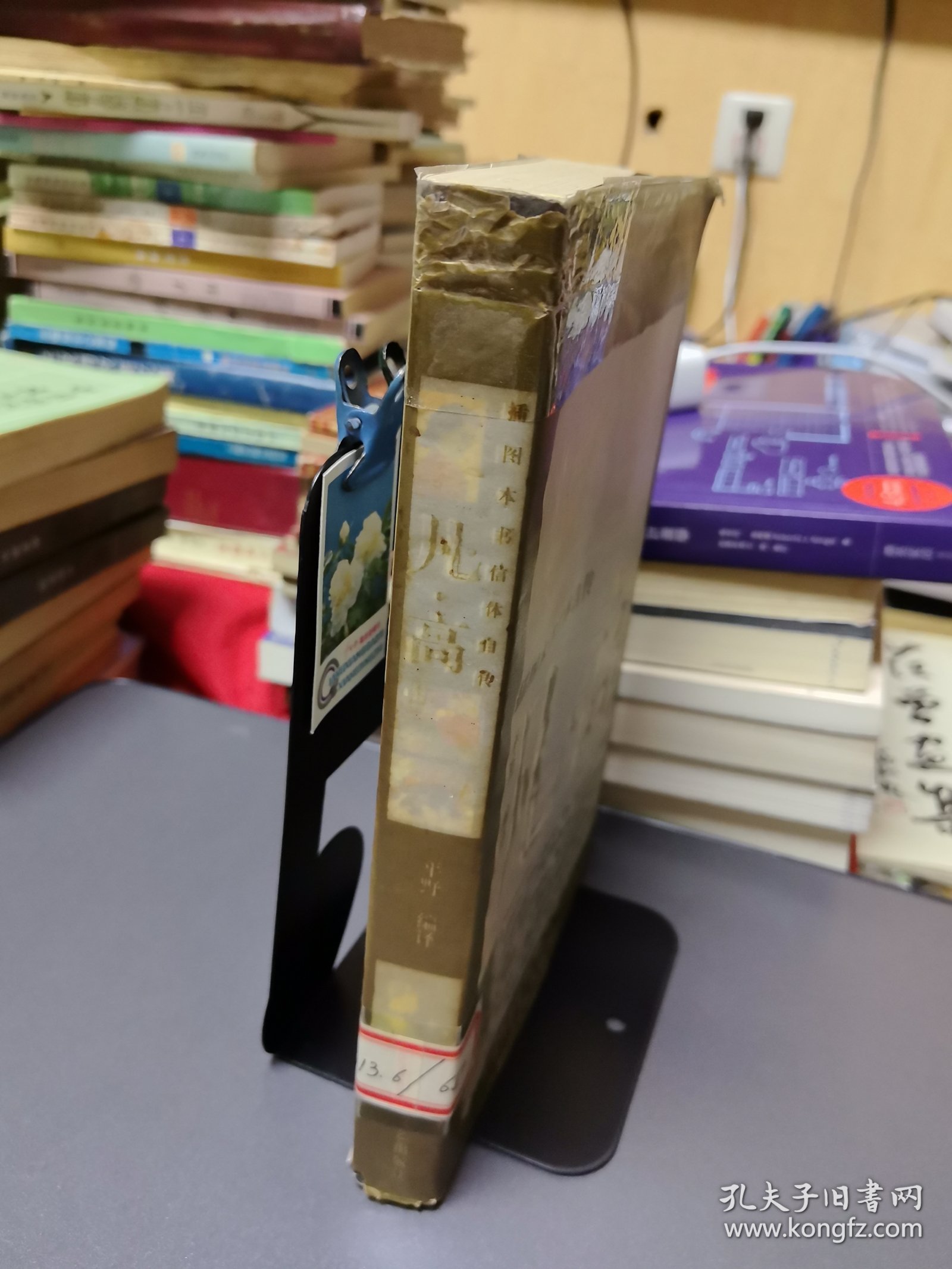 《凡·高：插图本书信体自传》【正版现货，品如图所有图片都是实物拍摄】