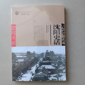 沈阳历史文化丛书——沈阳史话