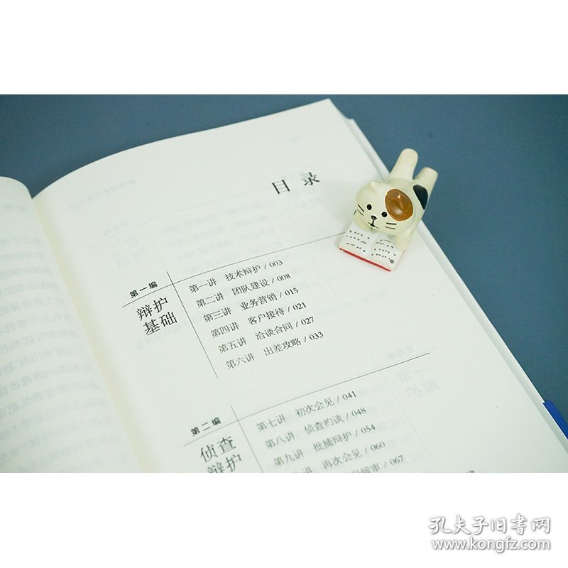 技术辩护三十六讲