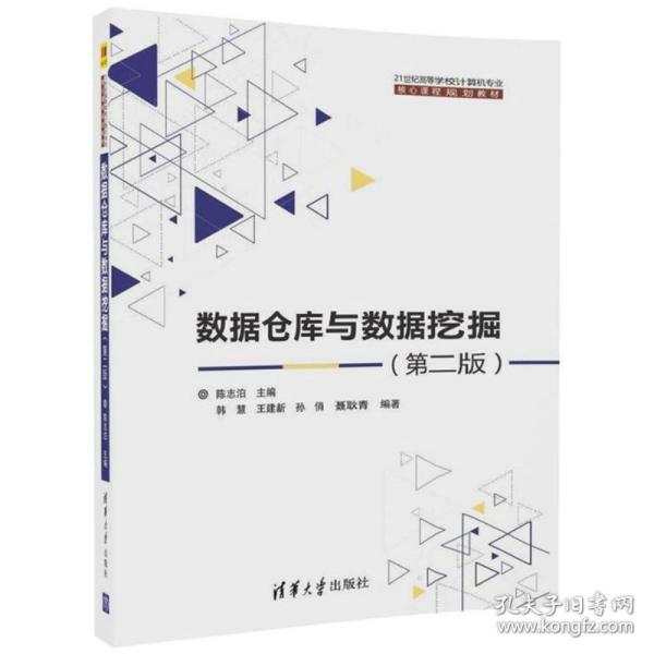 数据仓库与数据挖掘（第二版）/21世纪高等学校计算机专业核心课程规划教材