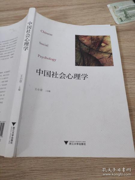 中国社会心理学