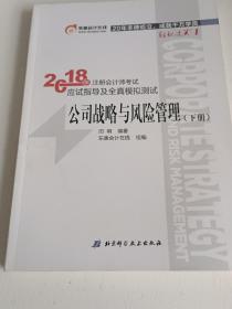 注册会计师2018教材东奥轻松过关1应试指导及全真模拟测试 公司战略与风险管理 上下册