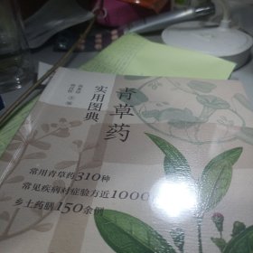 青草藥實(shí)用圖典