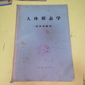 人体形态学