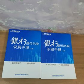 银行授信风险识别手册 上下册