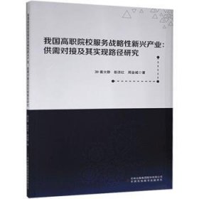 我国高职院校服务战略性新兴产业:供需对接及其实现路径研究