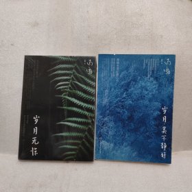 岁月无惊（两本合售）