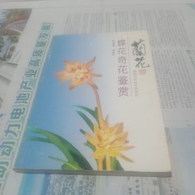 兰花：蝶花奇花鉴赏