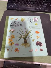 小药童的秘密花园（小药童植物图鉴）