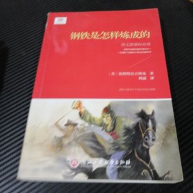 钢铁是怎样炼成的（新课标）