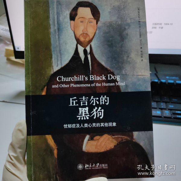 丘吉尔的黑狗：忧郁症及人类心灵的其他现象