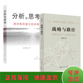 战略与路径+分析与思考