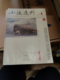 杂志：小说选刊2009年第6期