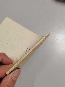 窗口