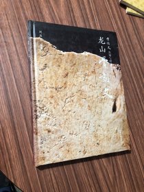 骨刻文发现与研究丛书：龙山骨刻文2012年一版一印【精装·大16开本】