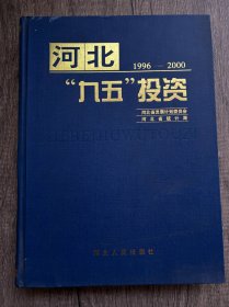 河北九五投资1996-2000