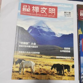 21世纪禅文明创刊号+试刊号1.2.3.4期（5本合售）